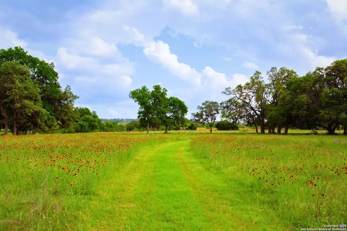 Johnson City, TX 78636,1364 Walnut Springs Rd