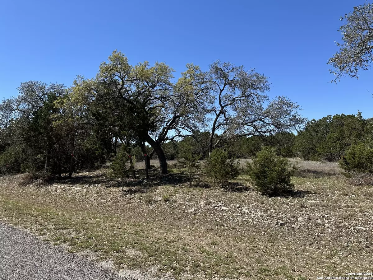 Spring Branch, TX 78070,144 Wine Cup