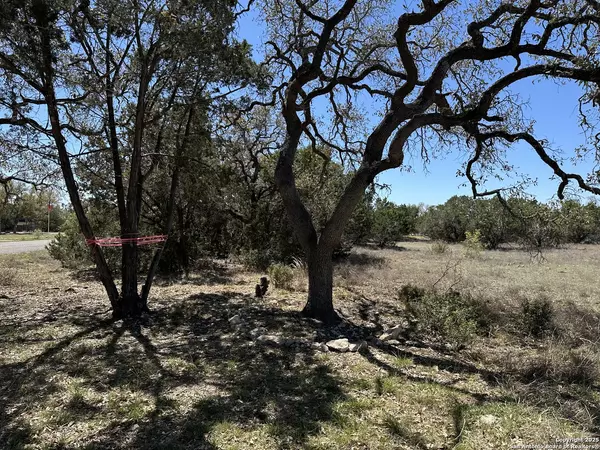 Spring Branch, TX 78070,144 Wine Cup