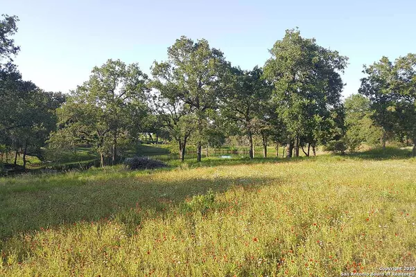 La Vernia, TX 78121,LOT 36 Woodlands Drive