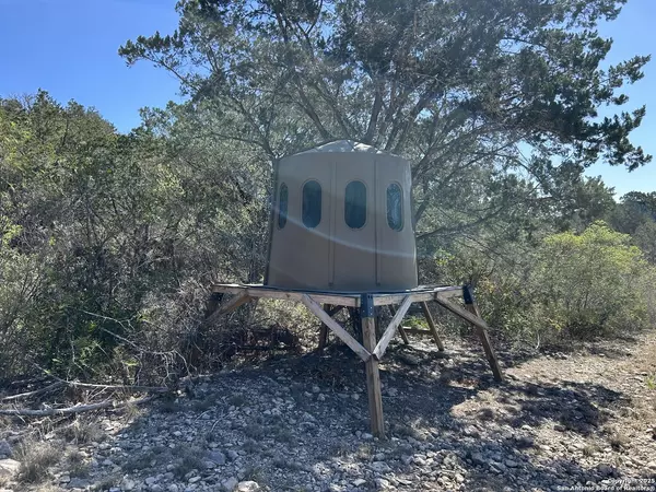 Sabinal, TX 78881,0 Mesa Verde Dr