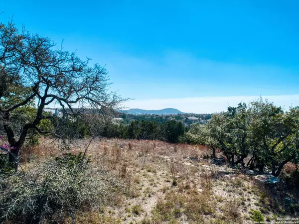 Canyon Lake, TX 78133,313 La Paloma