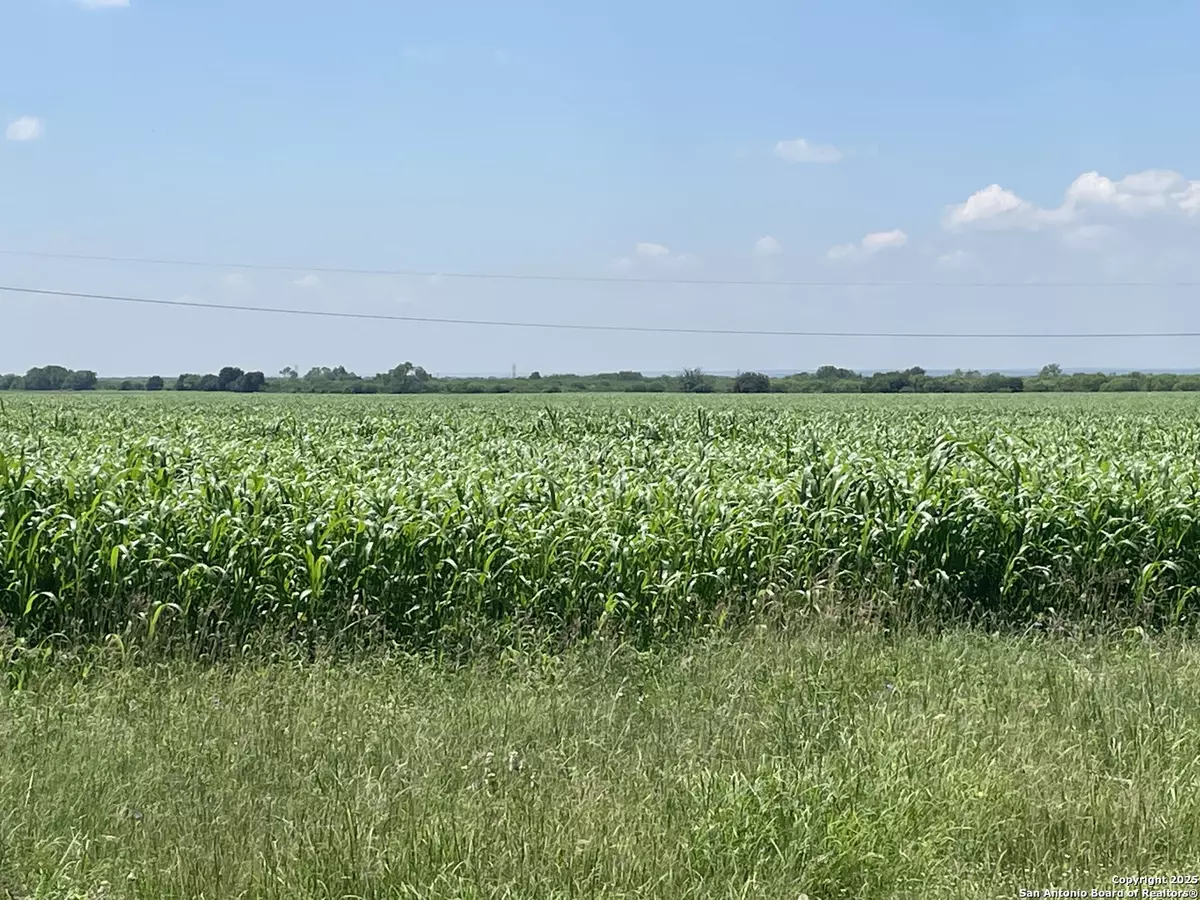 Runge, TX 78151,4900 FM 81