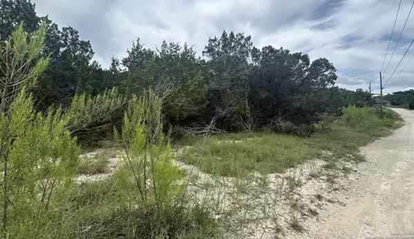 Spring Branch, TX 78070,230 & 250 Indian Trl