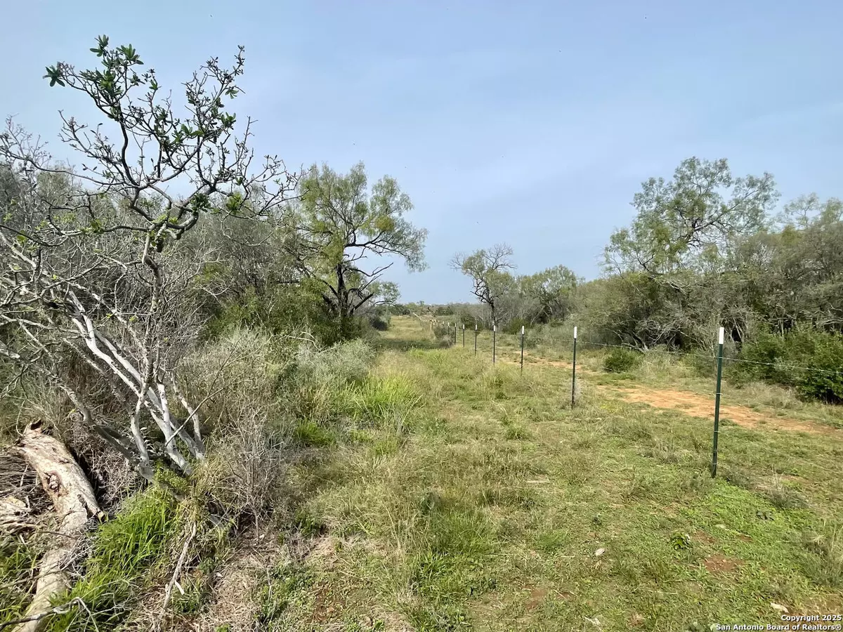 Moore, TX 78057,169 county road 1670