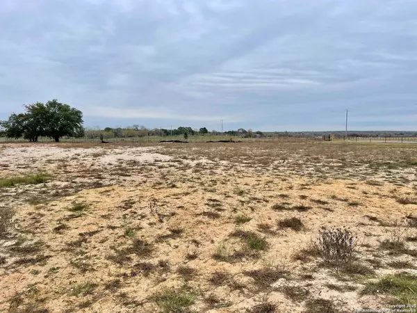 Floresville, TX 78114,116 Pradera Ridge Dr