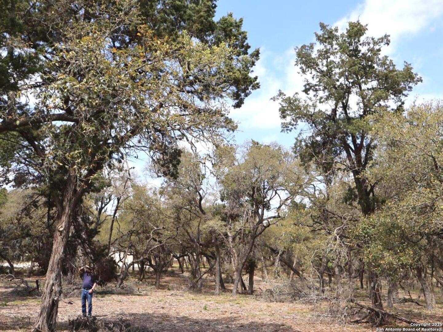 Bulverde, TX 78070,0 Windmill Way