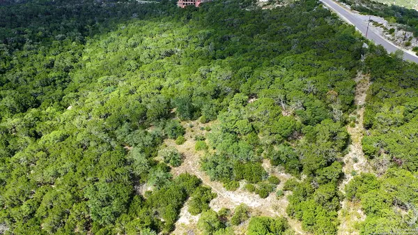 Mico, TX 78056,LOT 19 PR 1714