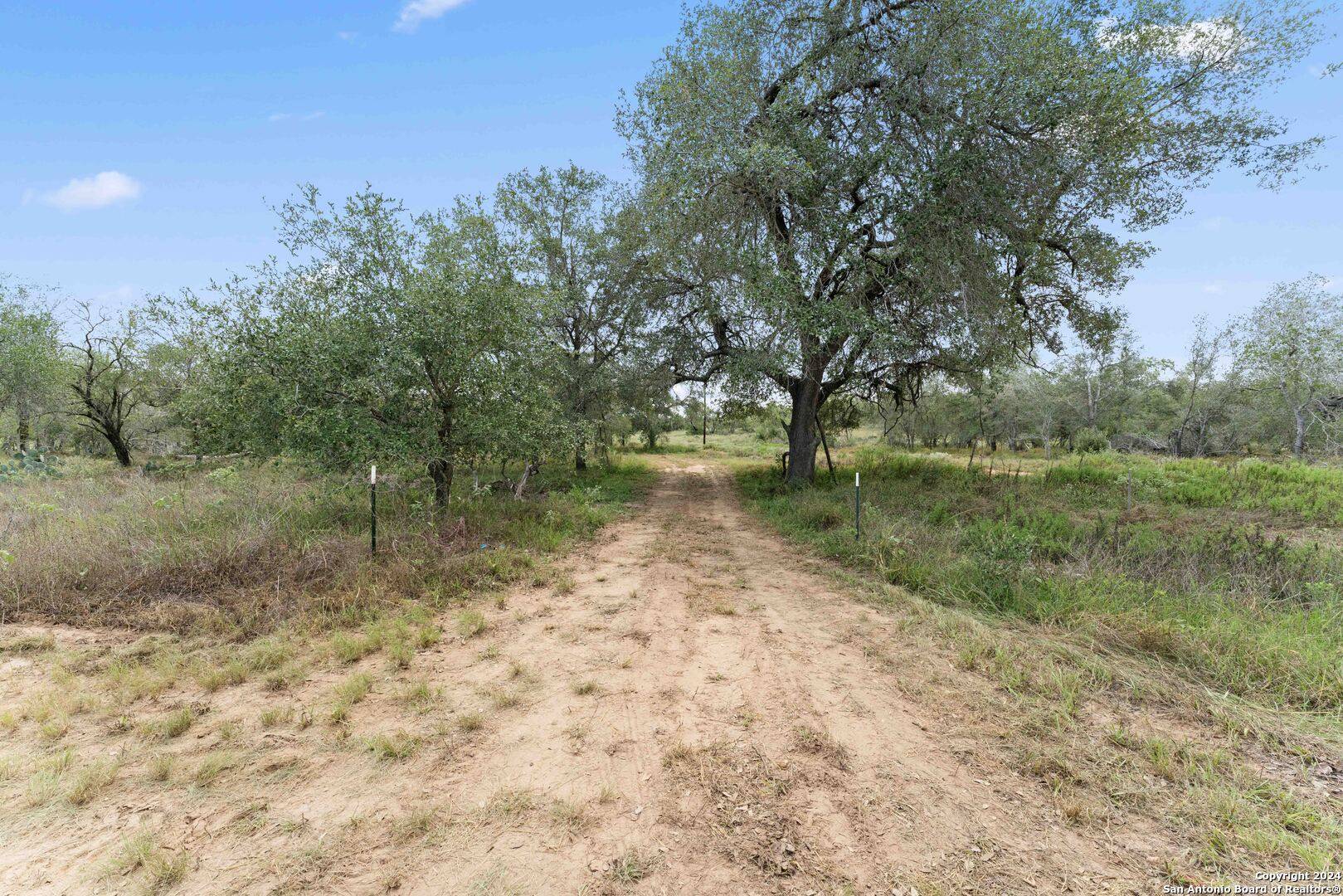 Floresville, TX 78114,463 POSTERT LN