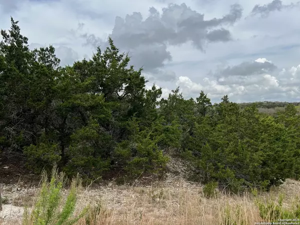 Spring Branch, TX 78070,TBD Fawn River Drive (Lot 188)