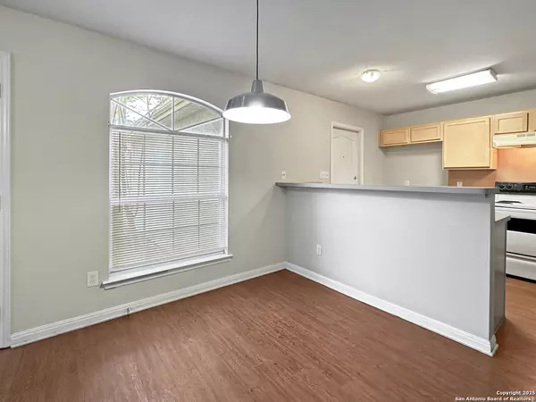 New Braunfels, TX 78130,3013 & 3015 Pine Valley