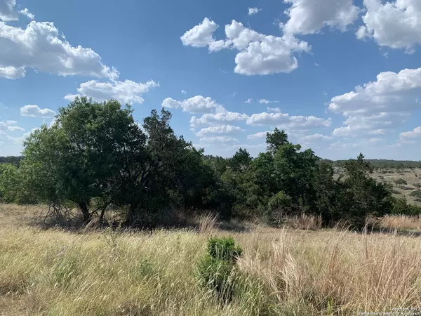 Fredericksburg, TX 78624,02 Verde Ct.