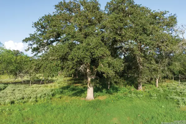 Nixon, TX 78140,343 BATEY