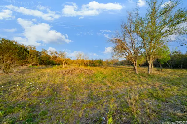 Castroville, TX 78009,247 County Road 4802