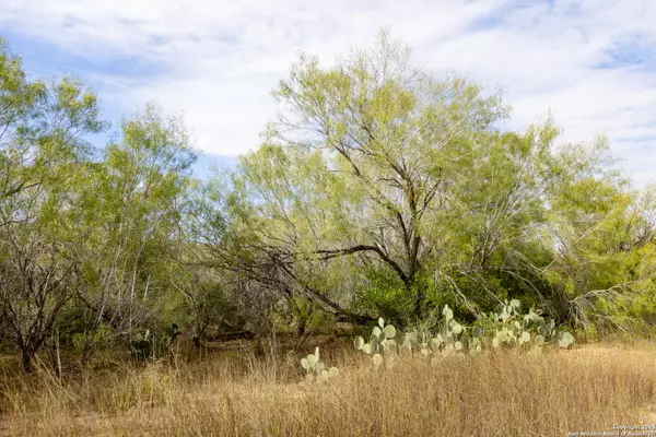 Pearsall, TX 78061,9 FM 1581