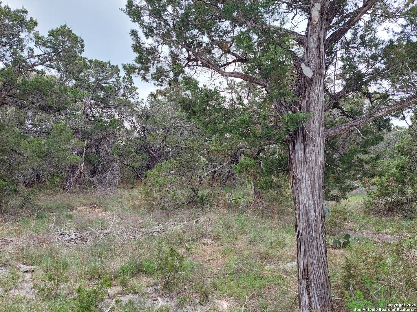 Canyon Lake, TX 78133,2170 Fuller Dr