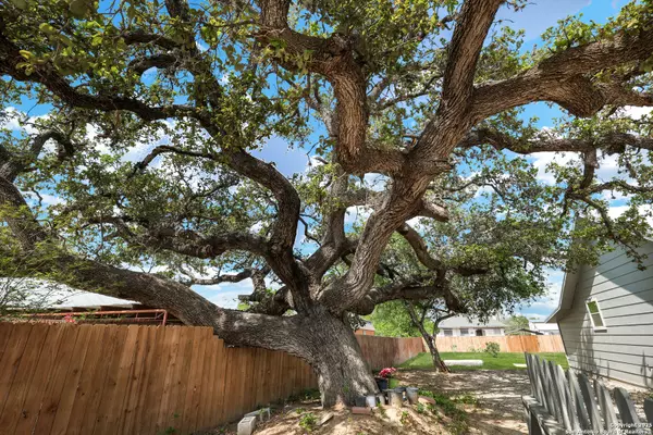 Devine, TX 78016,507 Hayden