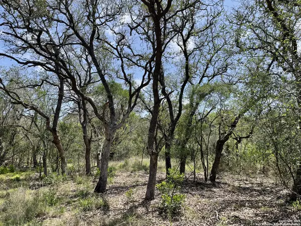 Hondo, TX 78861,1191 CR 241