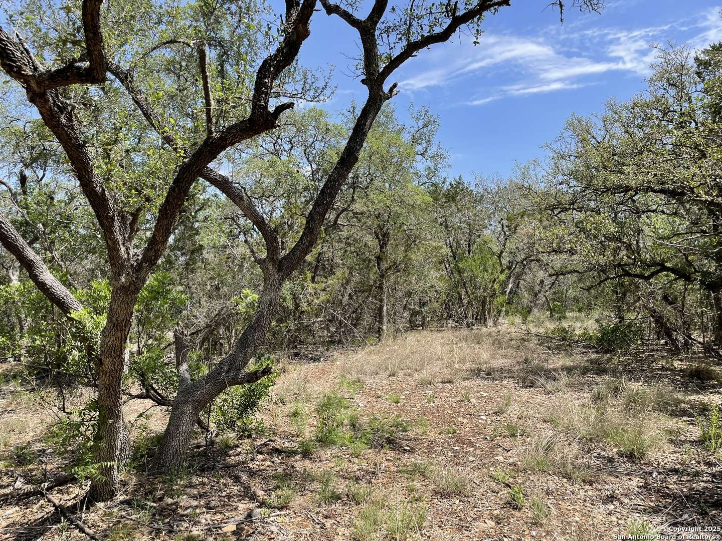 Hondo, TX 78861,1191 CR 241
