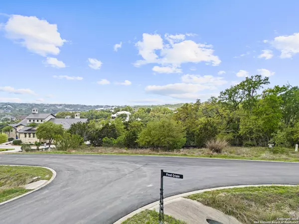New Braunfels, TX 78132,1324 Pinot Grigio