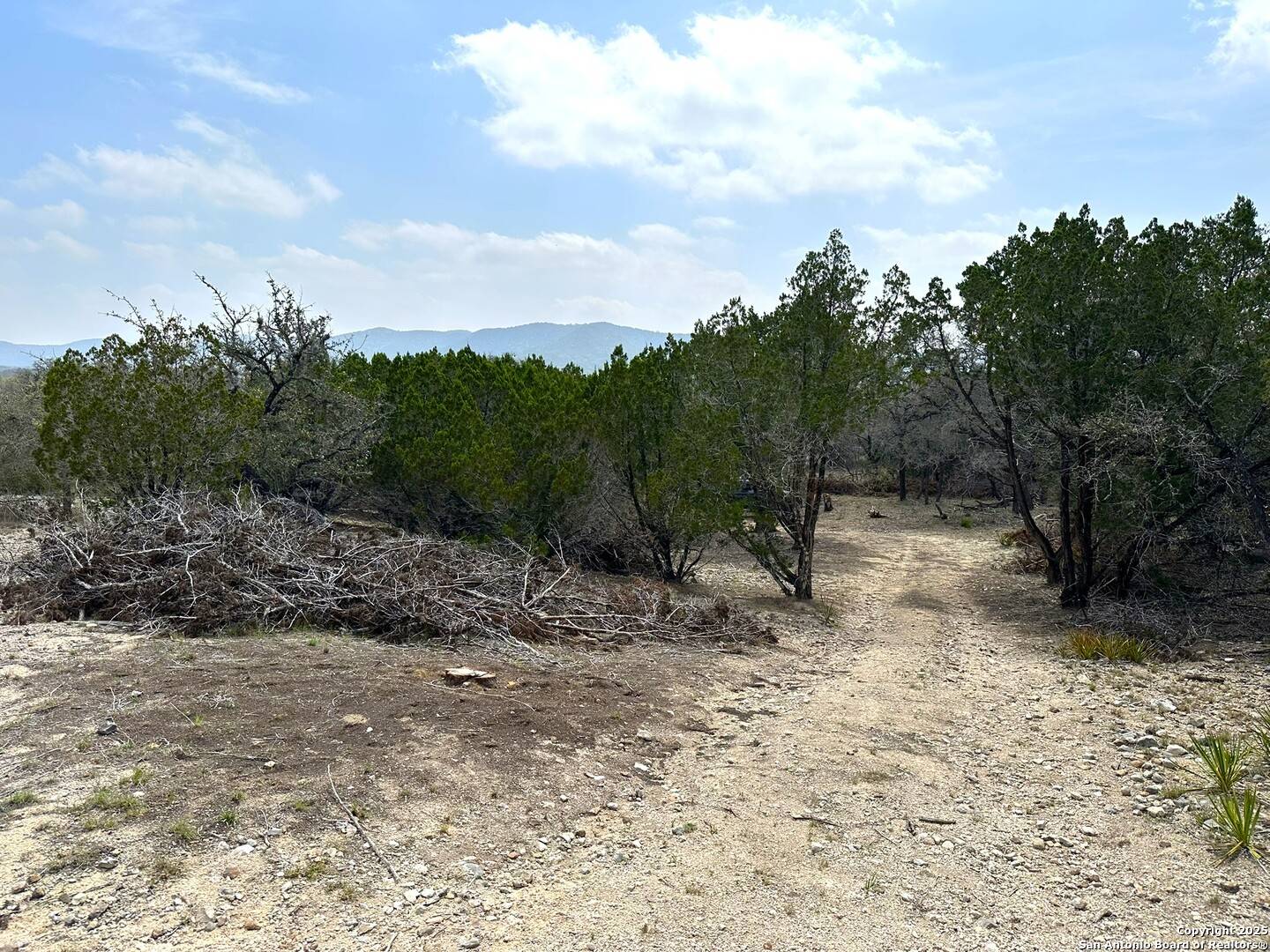 Rio Frio, TX 78879,1674 Saddle Mountain Rd