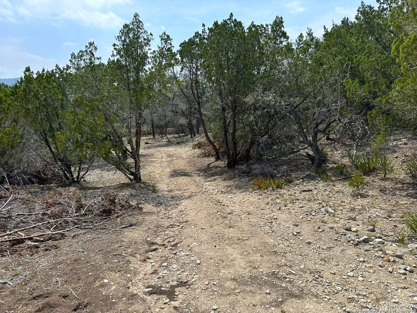 Rio Frio, TX 78879,1674 Saddle Mountain Rd