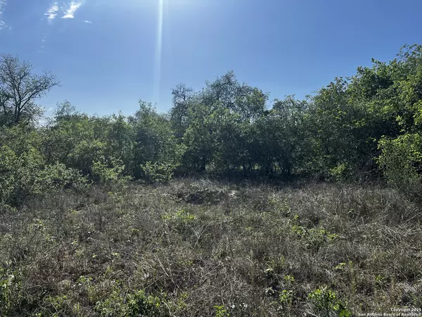 Poteet, TX 78065,MARIPOSA DR. Mariposa