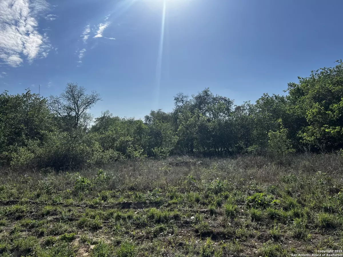 Poteet, TX 78065,MARIPOSA DR. Mariposa