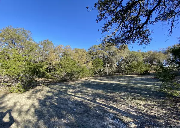 Boerne, TX 78006,42 RUST LANE