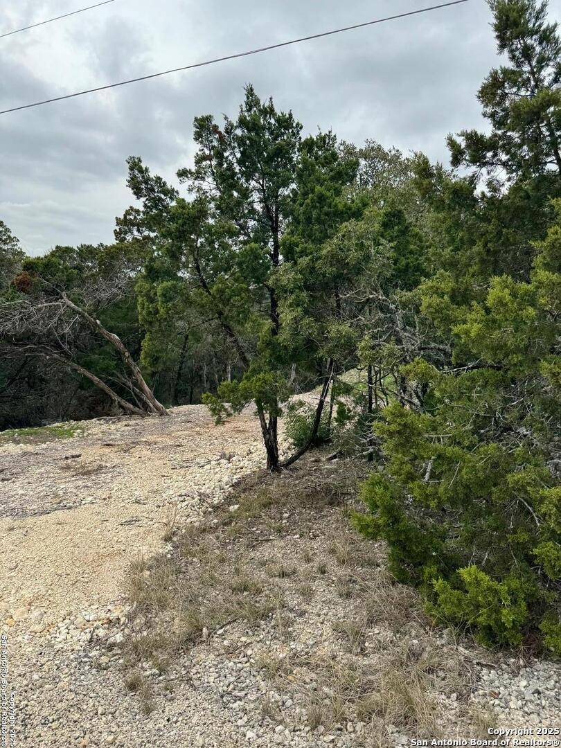 Helotes, TX 78023,9805 Cash Mountain
