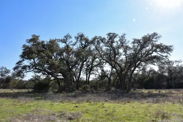New Braunfels, TX 78132,8843 FM 306