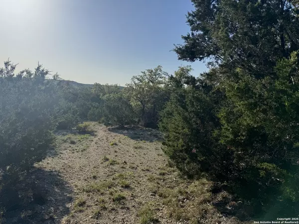 Canyon Lake, TX 78133,1111 Rocky Ridge Loop
