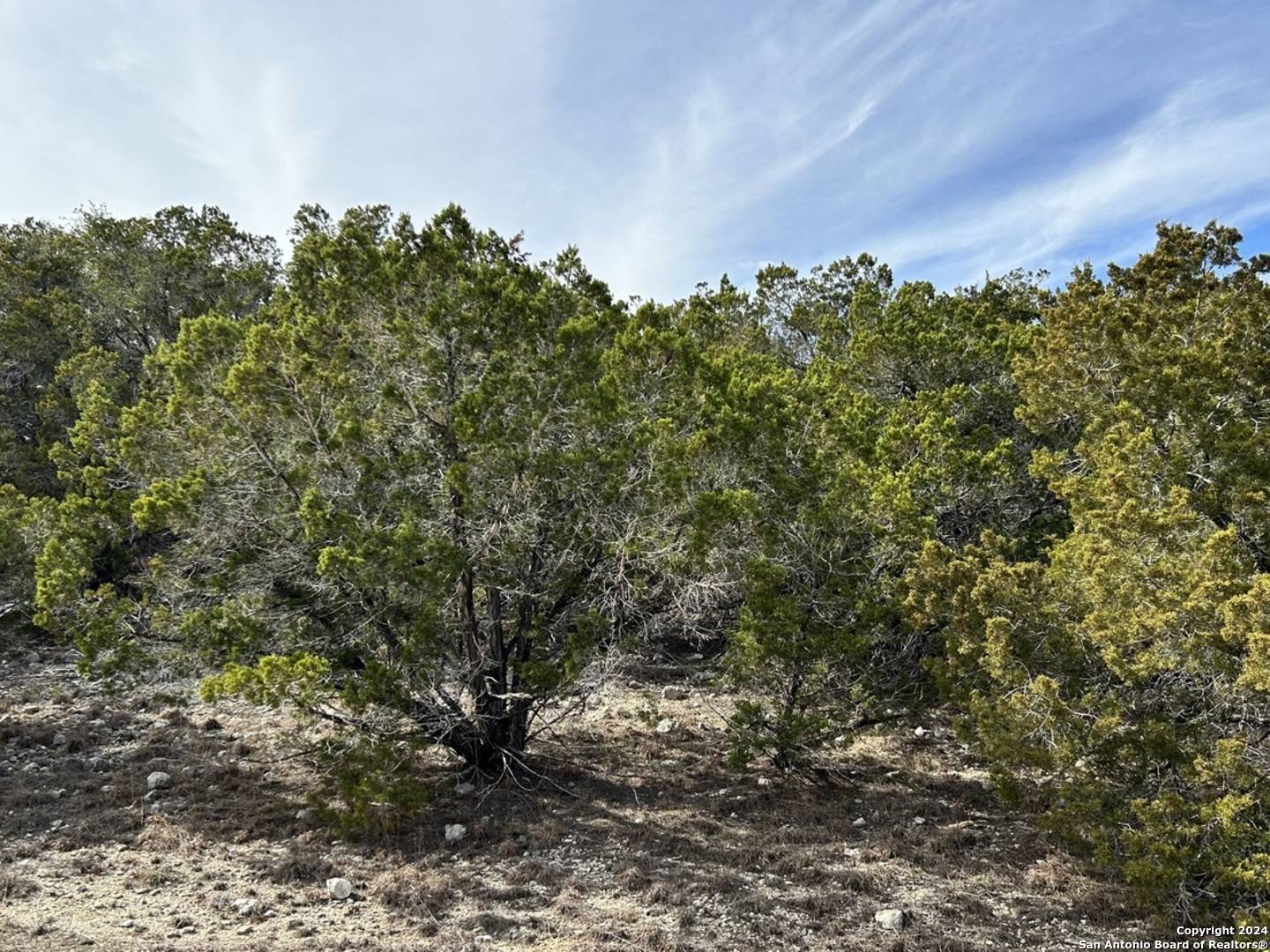 Spring Branch, TX 78070,00 TBD
