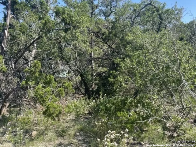 Spring Branch, TX 78070,00 TBD