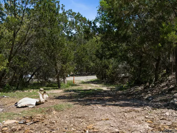 Canyon Lake, TX 78133,1056 Scenic Run