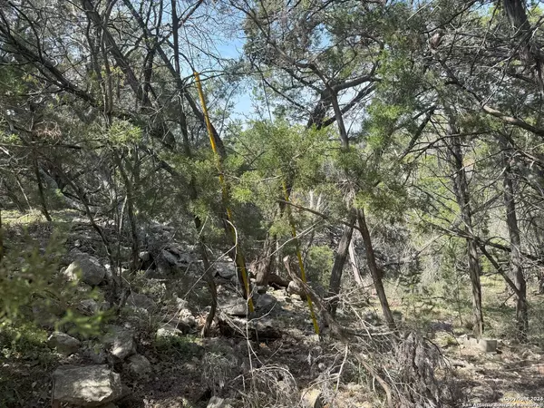 Canyon Lake, TX 78133,413 CEDAR DR