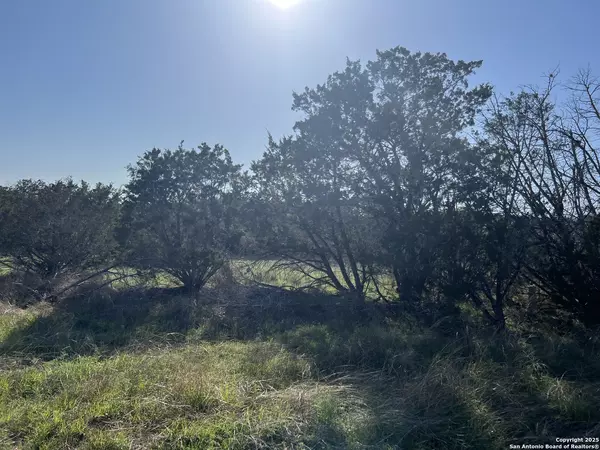 Bandera, TX 78003-7800,145 Elm
