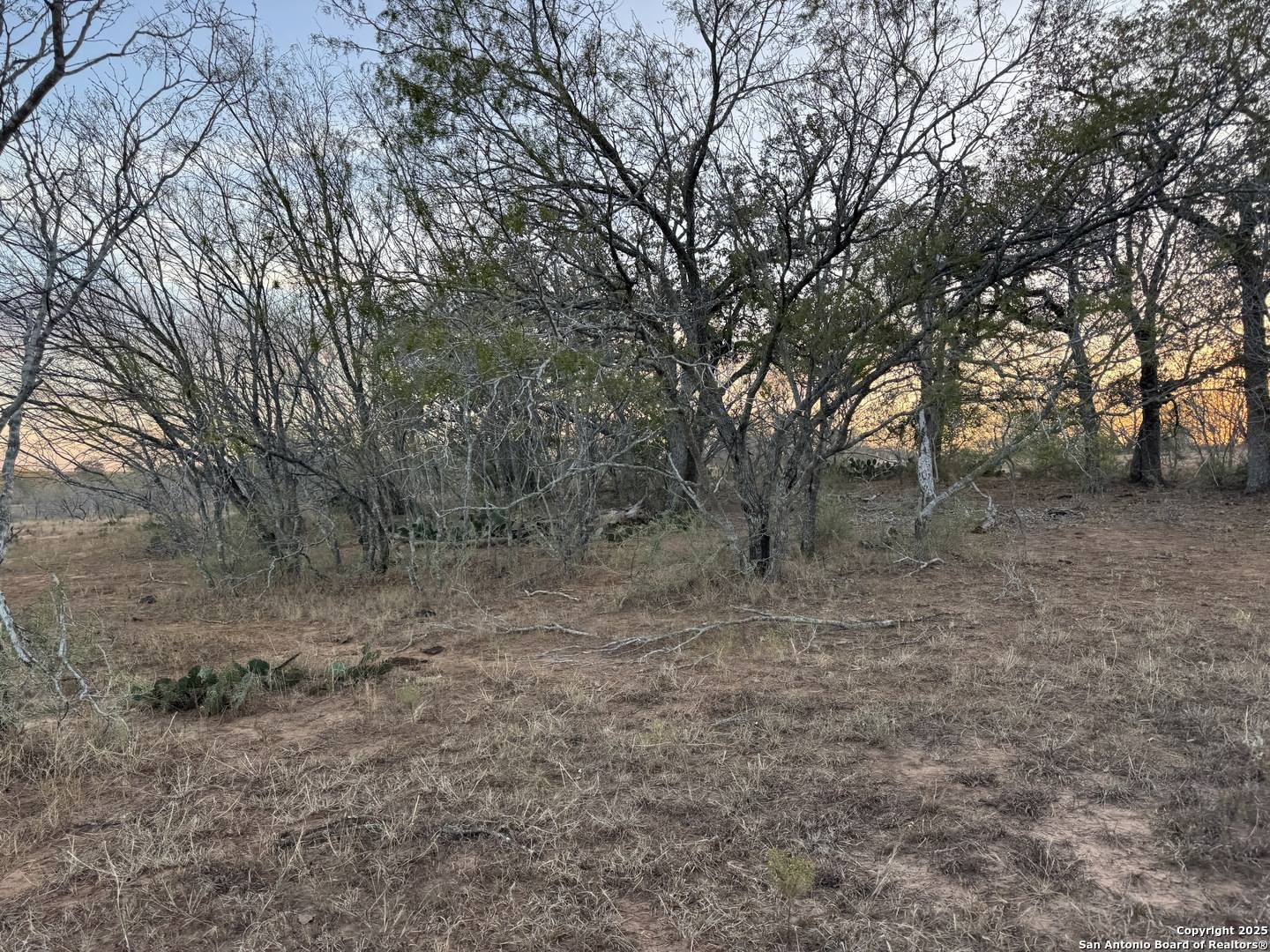 TBD FM 1681, Stockdale, TX 78160