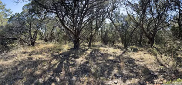 Bandera, TX 78003,22ND St