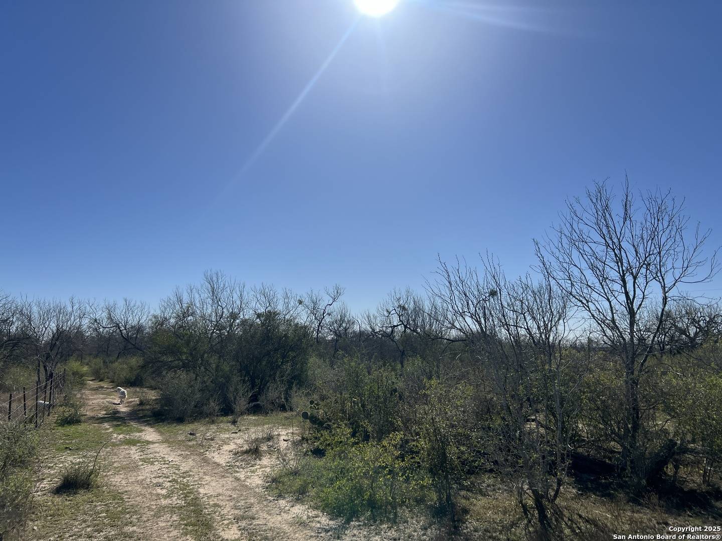 TBD FM 539, La Vernia, TX 78121