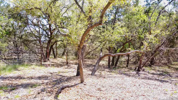 Blanco, TX 78606,109 jesse stiff