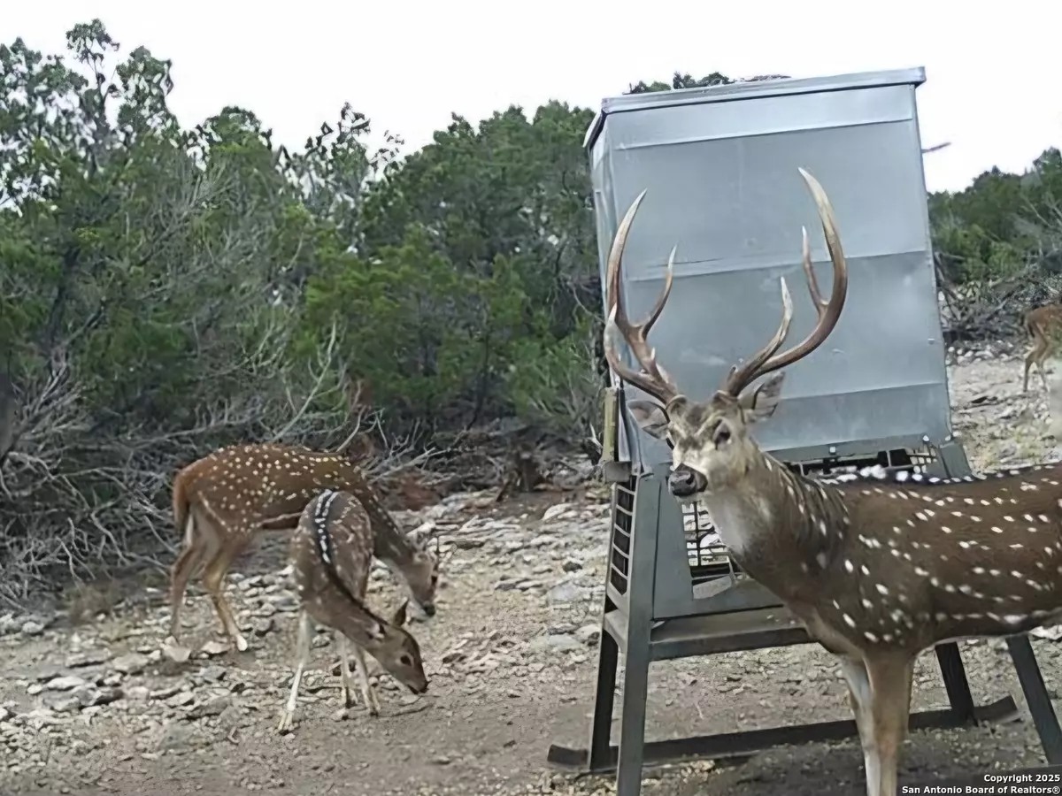 Rocksprings, TX 78880,TBD West Nueces Ranch, Lot 20