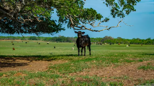 Floresville, TX 78114,TBD County Road 404