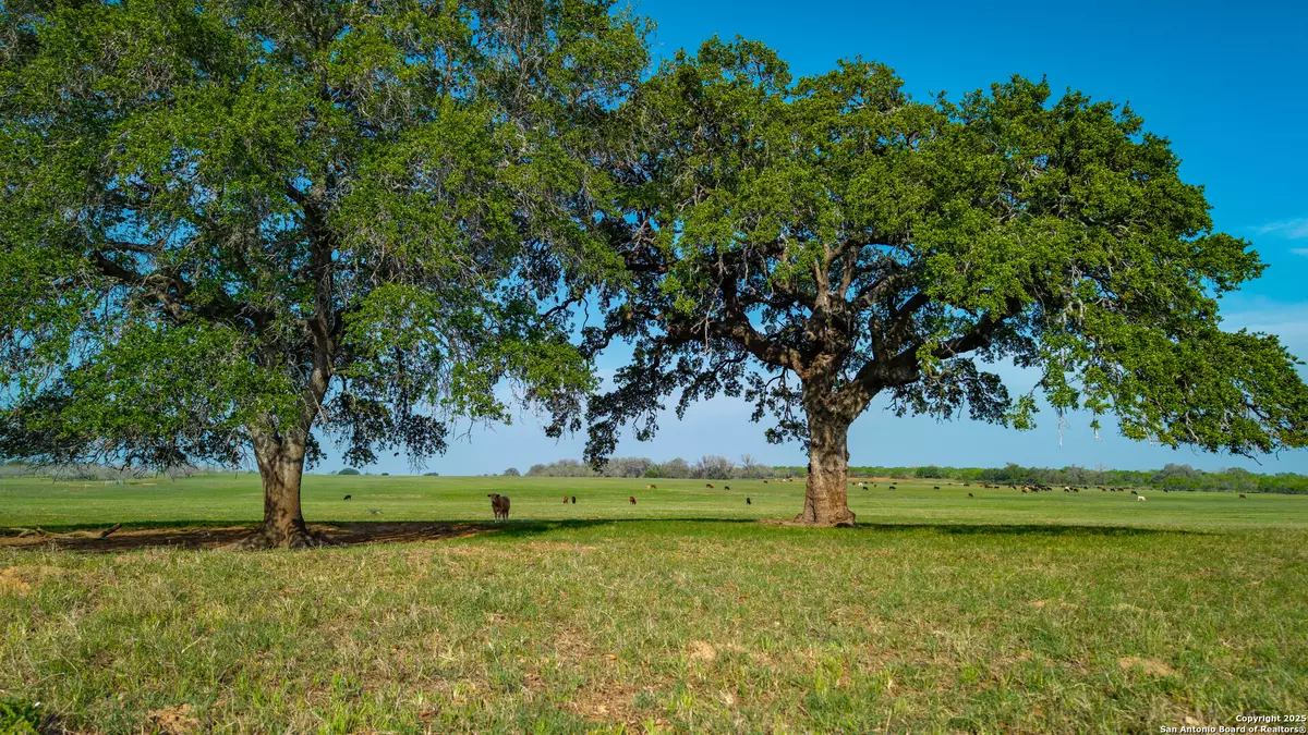 Floresville, TX 78114,TBD County Road 404