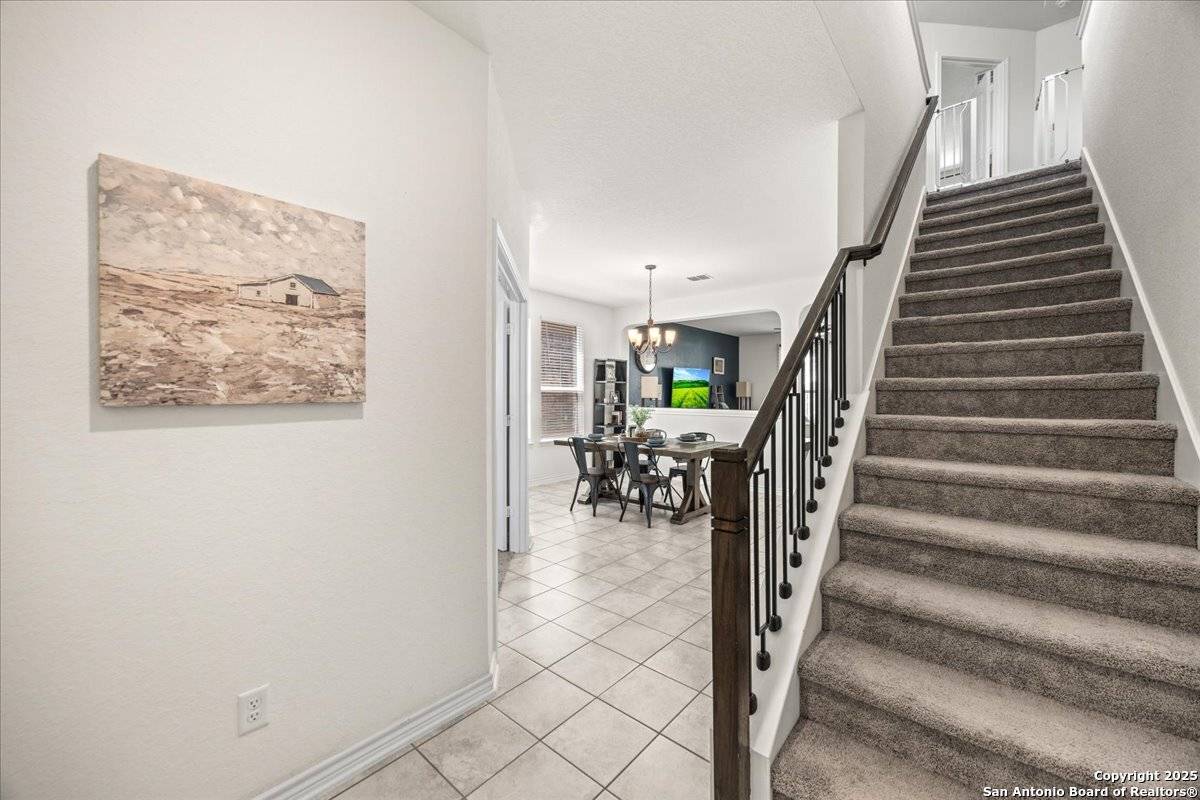 Bulverde, TX 78163,29913 Sestra