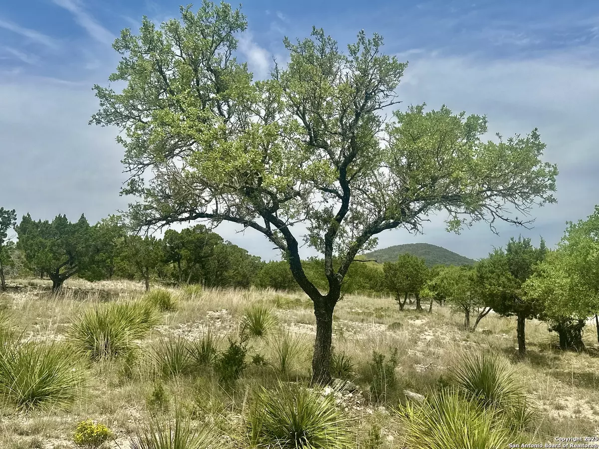 Bandera, TX 78003,TBD N Polly Peak