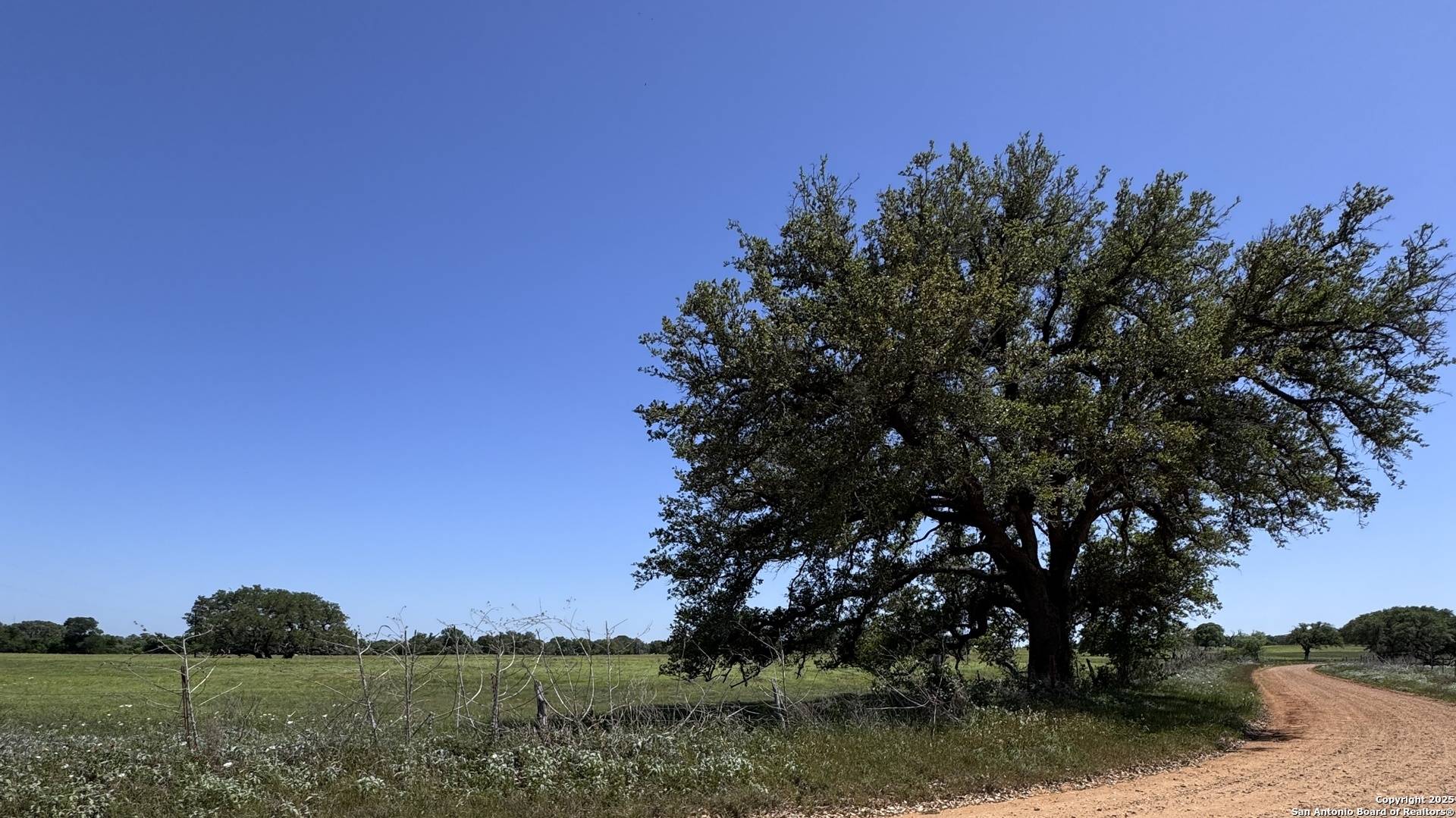 Leesville, TX 78122,148 E W Cullen