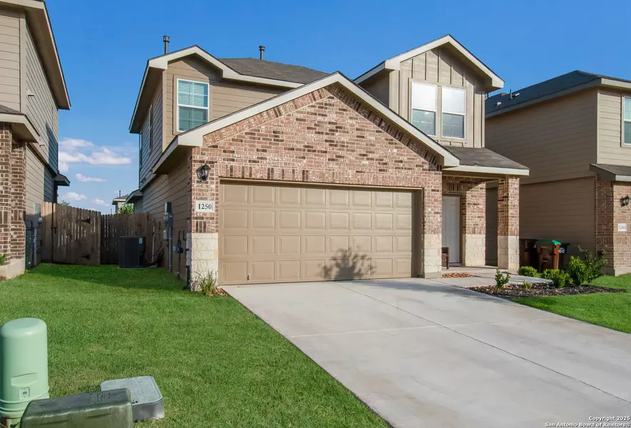 1250 Yellow Warbler, San Antonio, TX 78253
