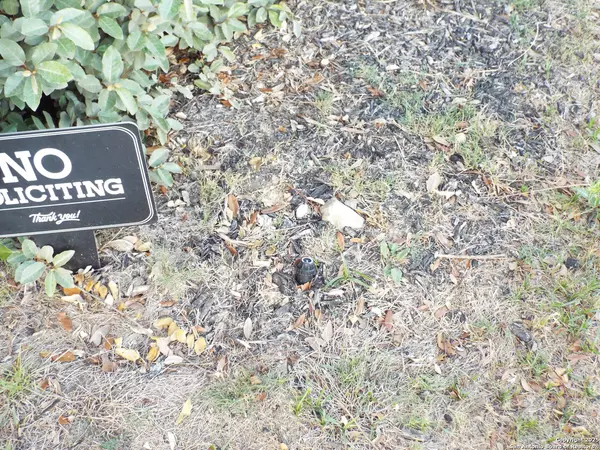 Converse, TX 78109,6722 Shiraz Way