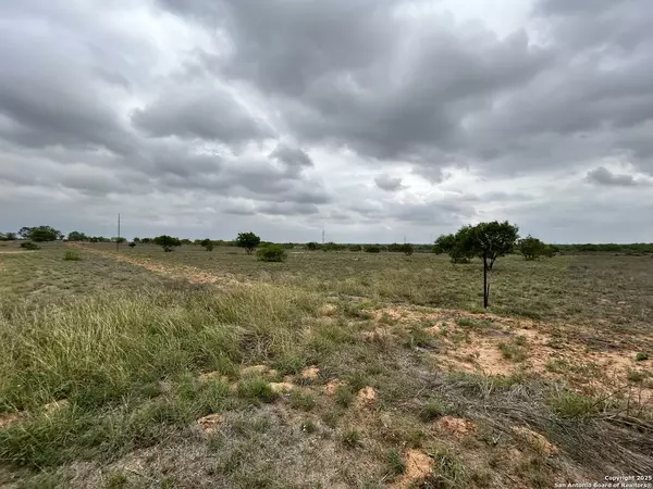 Moore, TX 78057,LOTS21-22&30-31 County Road 1629 Hillcounty